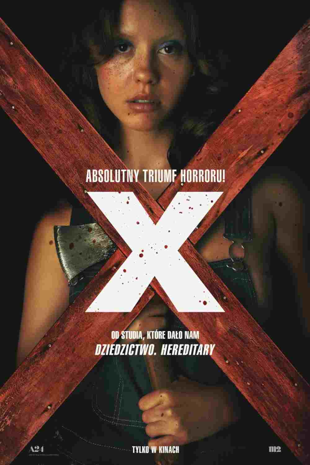  X 