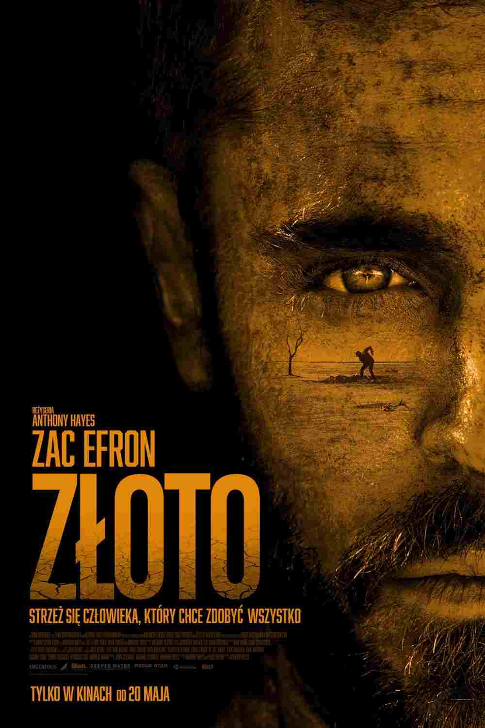  Złoto 