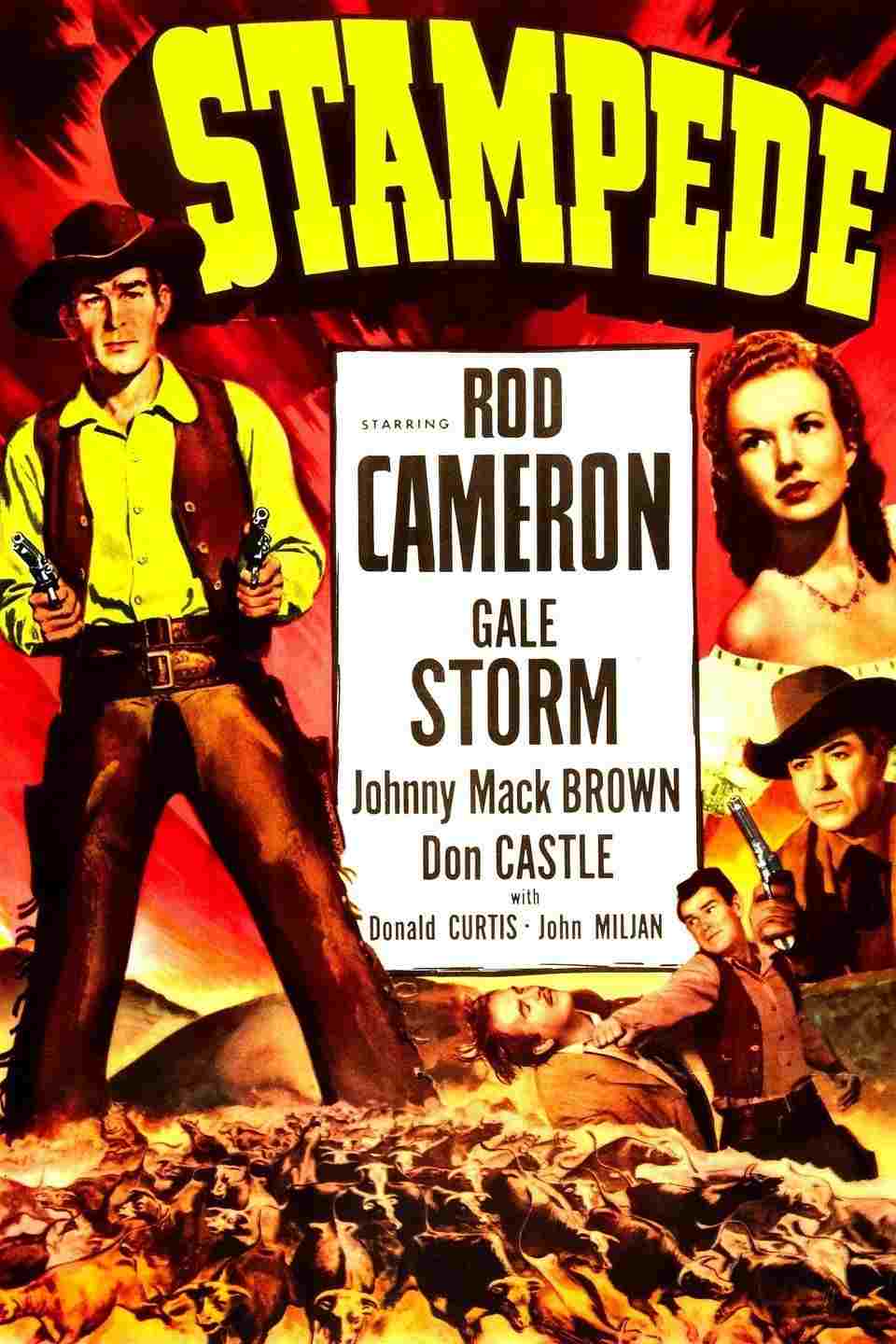  Stampede 