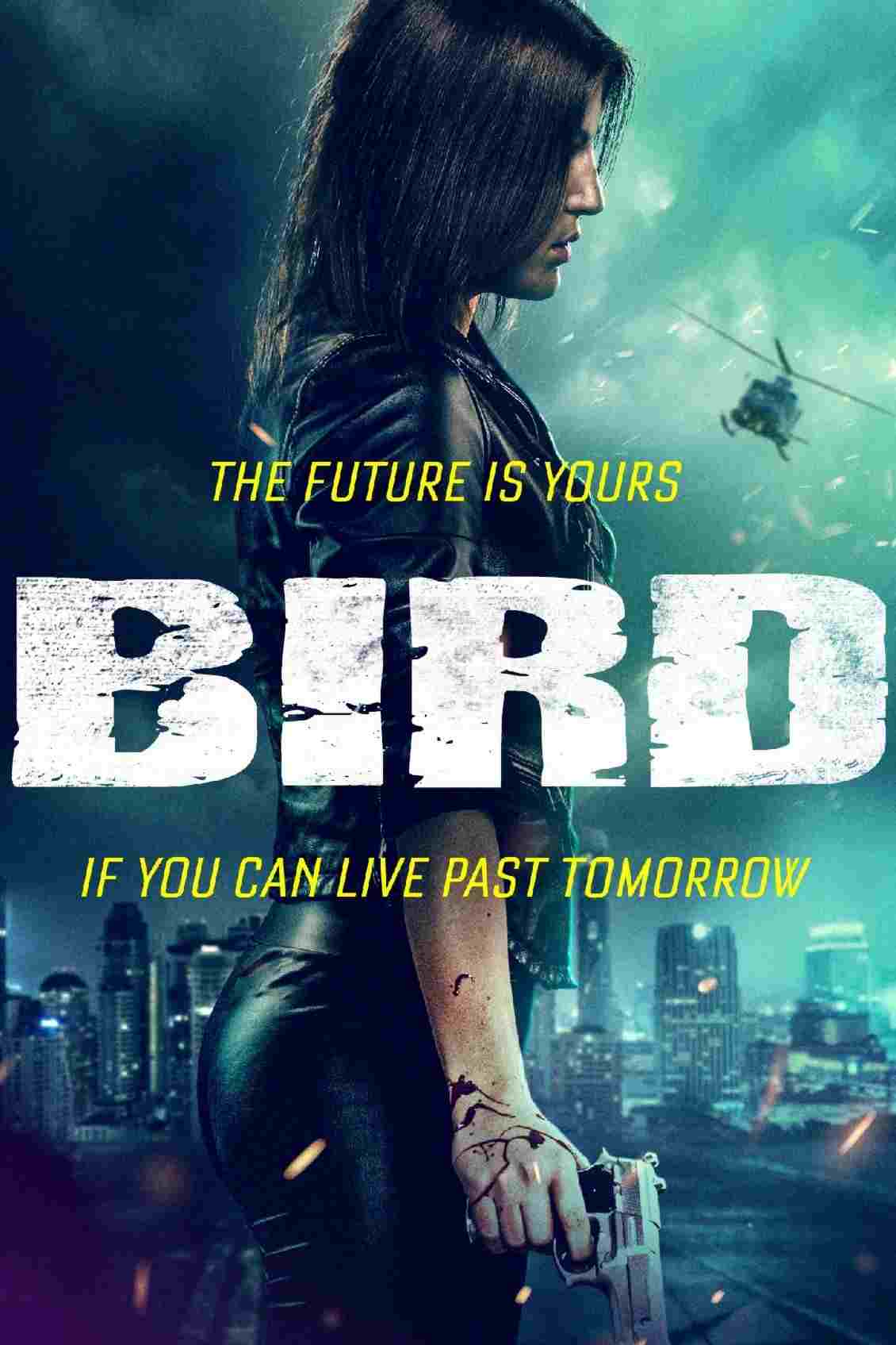  Bird 