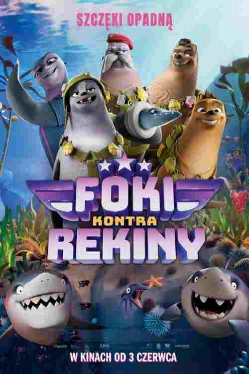  Foki kontra rekiny 