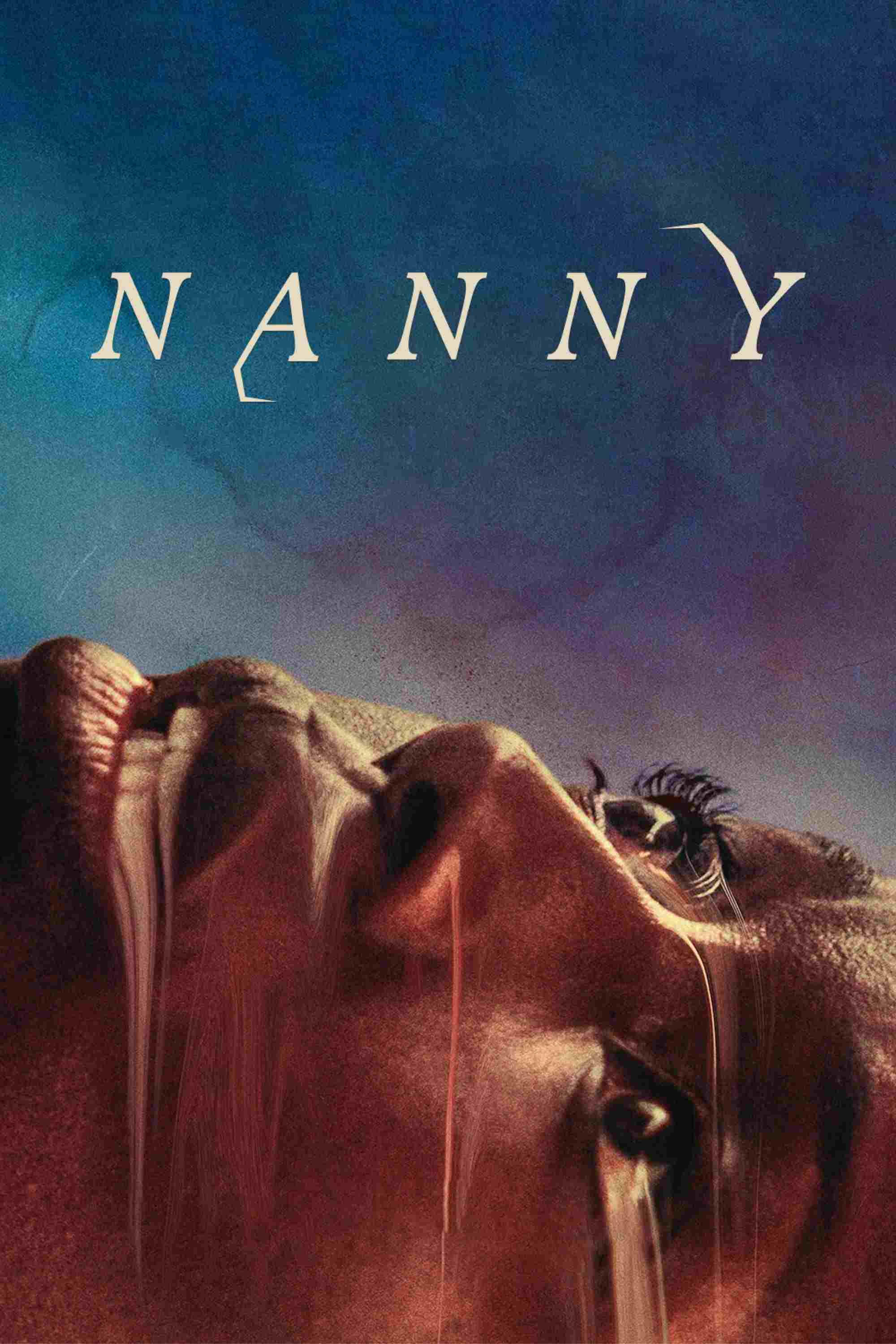  Niania 