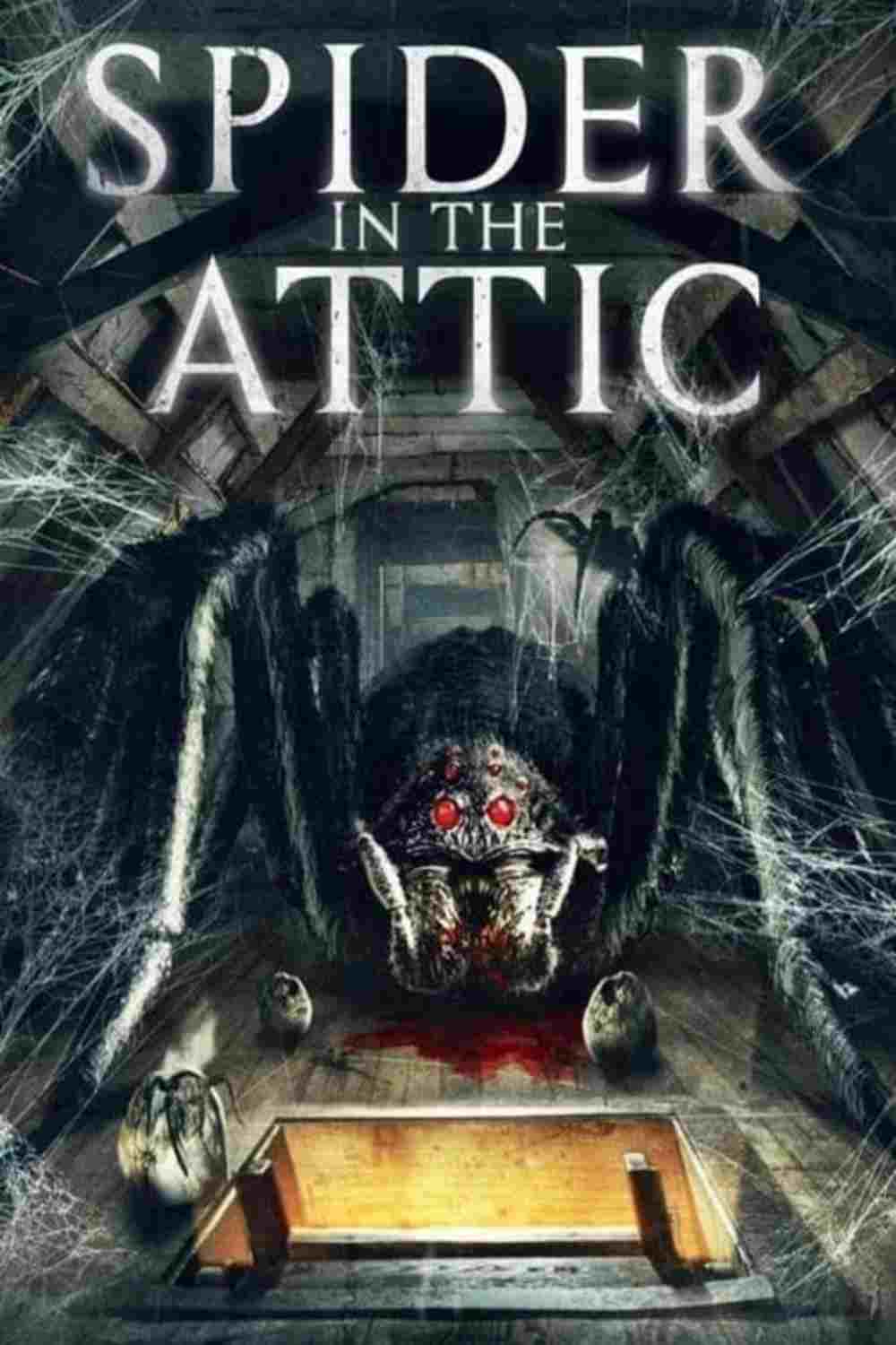  Spider in the Attic 
