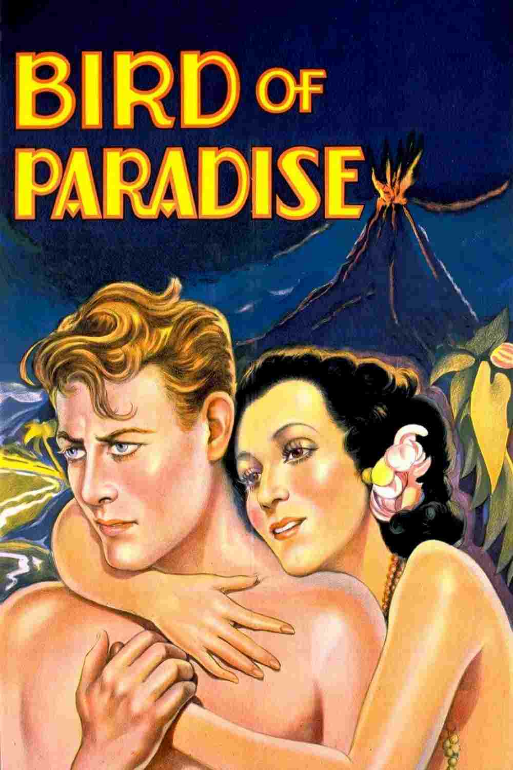  Bird of Paradise 