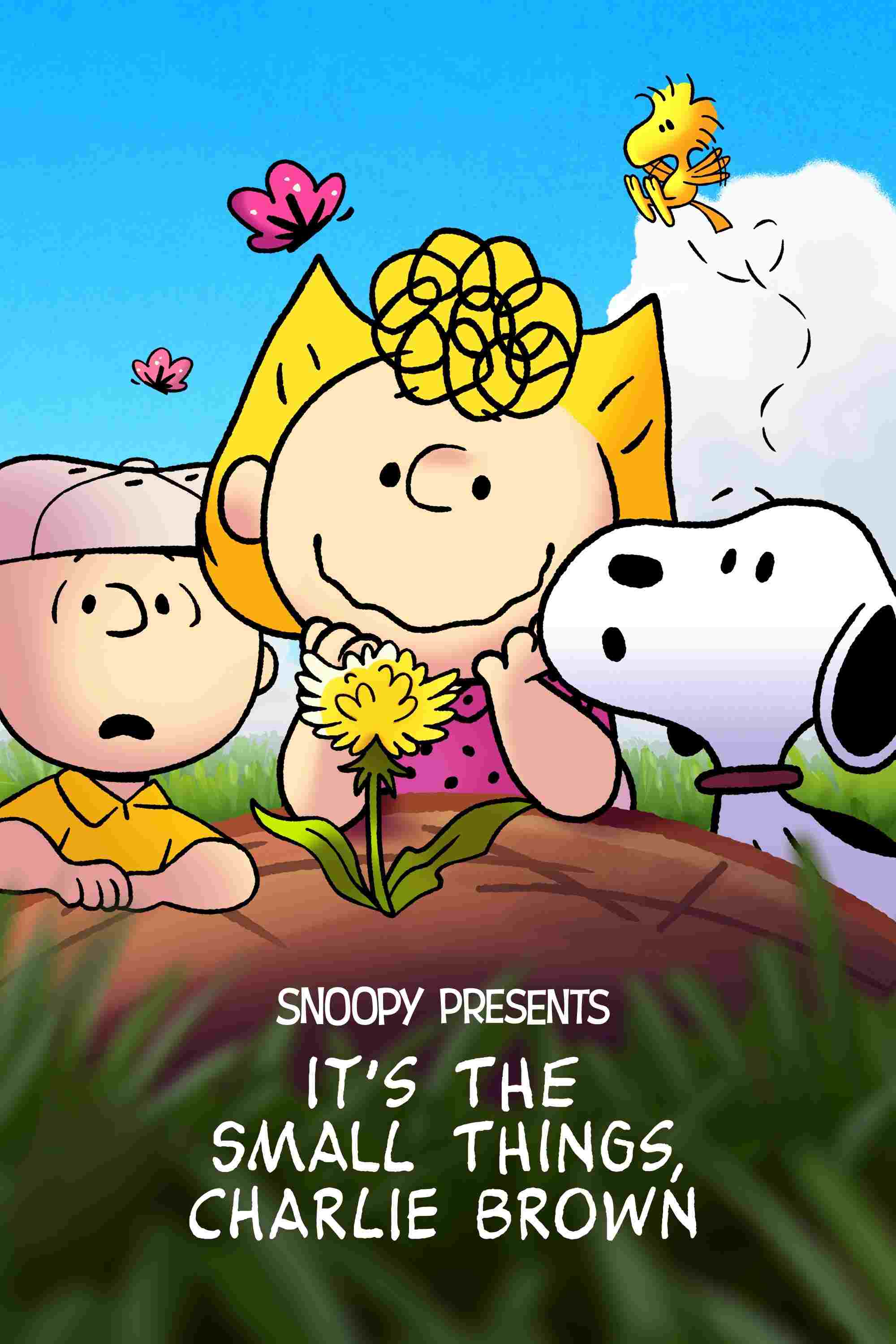  Snoopy przedstawia: Małe rzeczy, duża sprawa, Charlie Brownie 