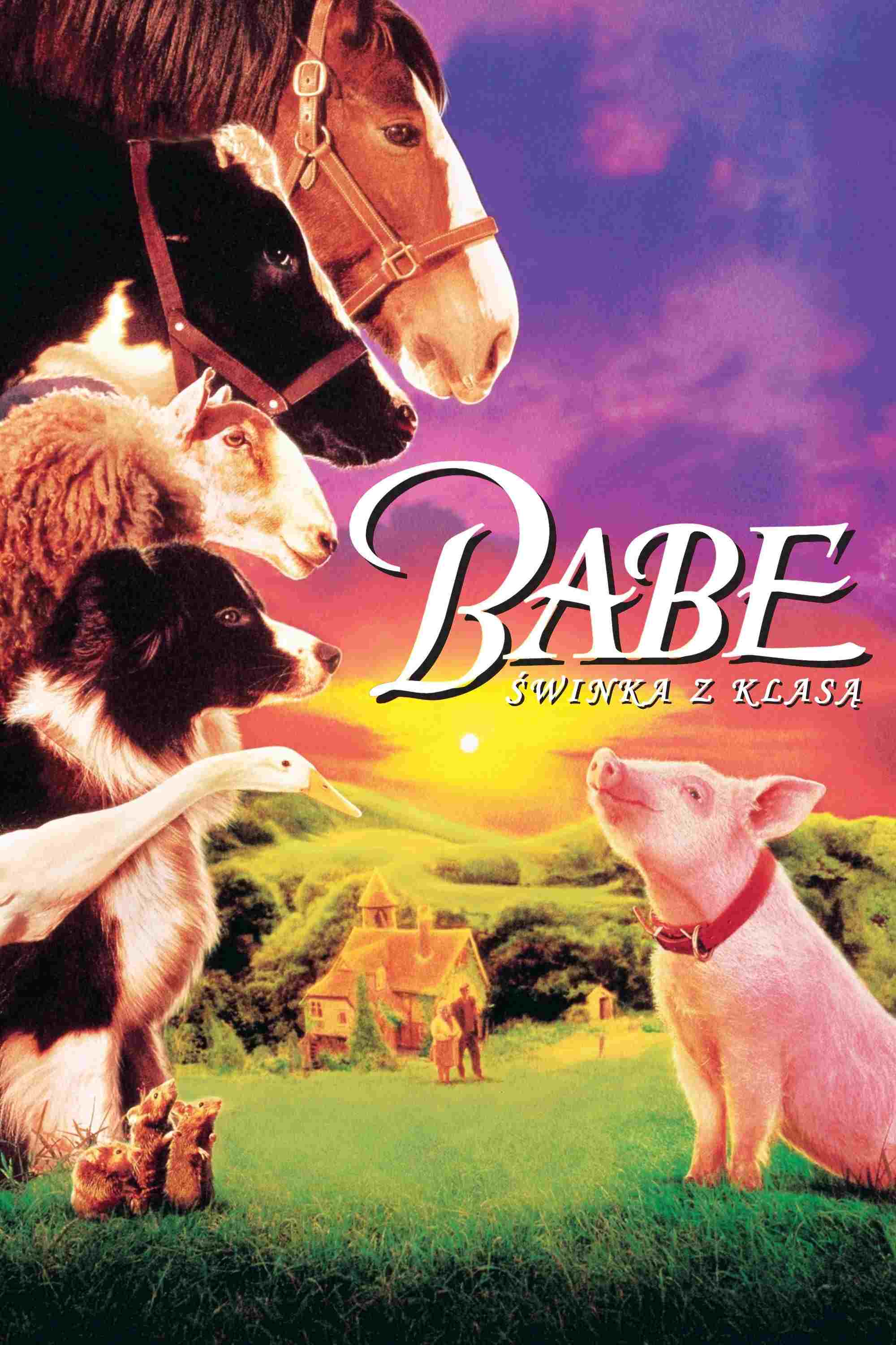  Babe - świnka z klasą 