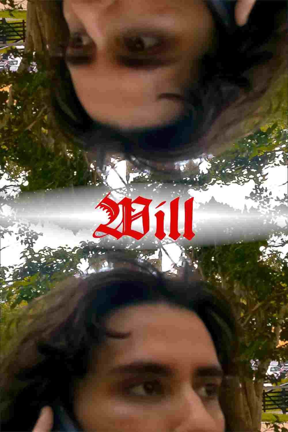  Will 