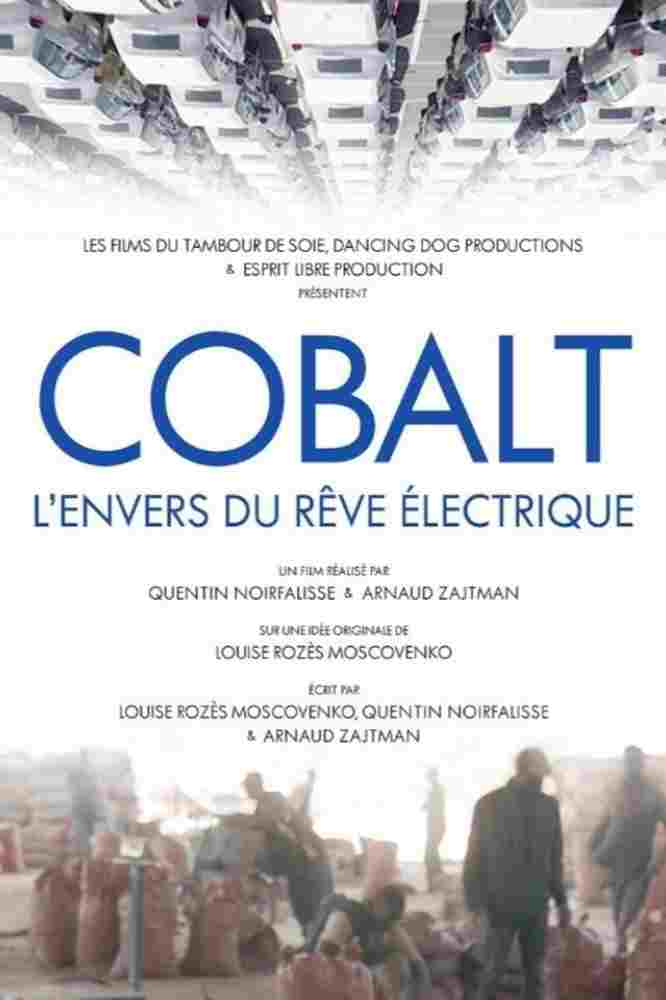 Cobalt WarsCiemna strona samochodów elektrycznych