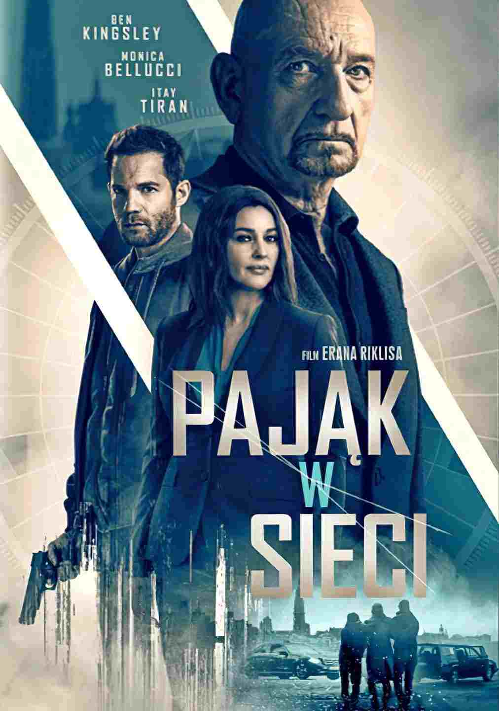 Pająk w sieci
