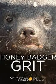 The Incredible Honey Badger